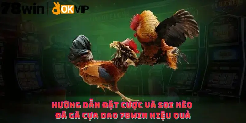 Hướng dẫn Đặt cược và Soi kèo Đá gà cựa dao 78win hiệu quả