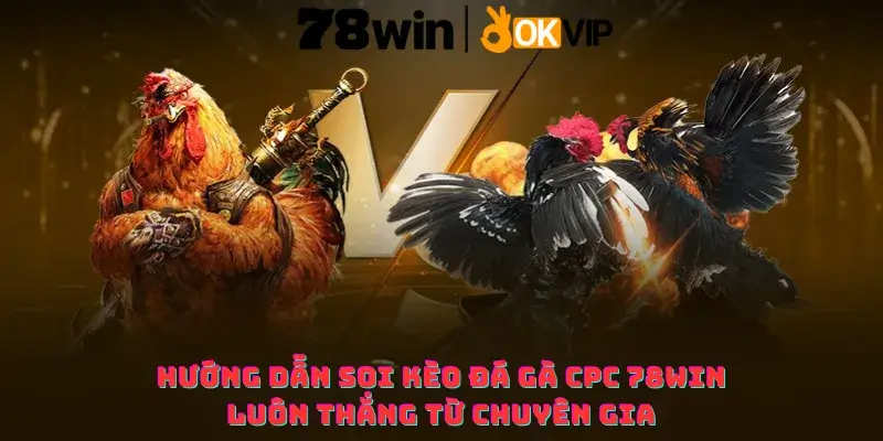 Hướng dẫn Soi kèo đá gà CPC 78win luôn thắng từ chuyên gia