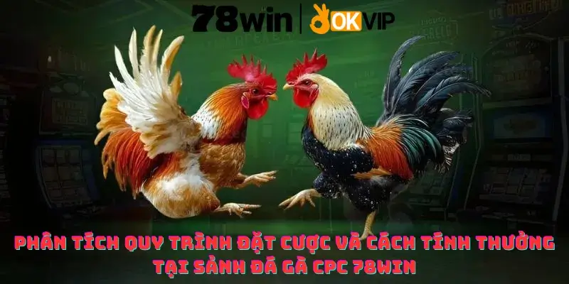 Phân tích quy trình đặt cược và cách tính thưởng tại sảnh Đá gà CPC 78win