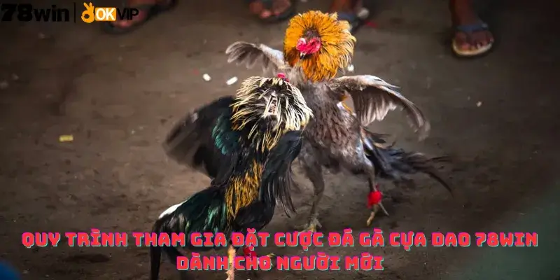 Quy trình tham gia đặt cược Đá gà cựa dao 78win dành cho người mới