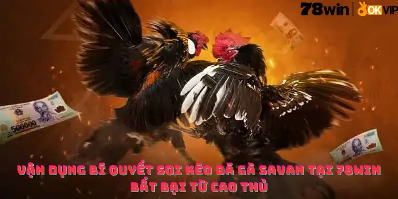 Vận dụng Bí quyết Soi kèo Đá gà Savan 78win từ cao thủ