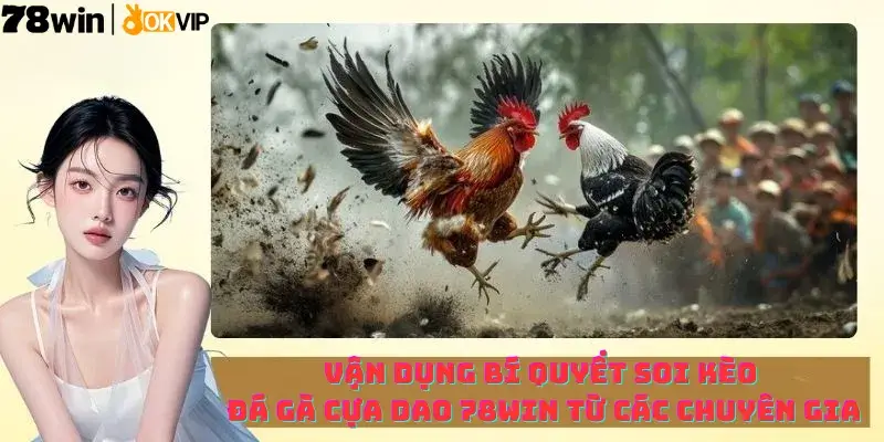 Vận dụng bí quyết soi kèo Đá gà cựa dao 78win từ các chuyên gia