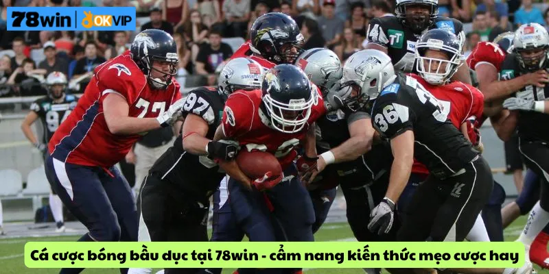 Cá cược bóng bầu dục tại 78win - cẩm nang kiến thức mẹo cược hay