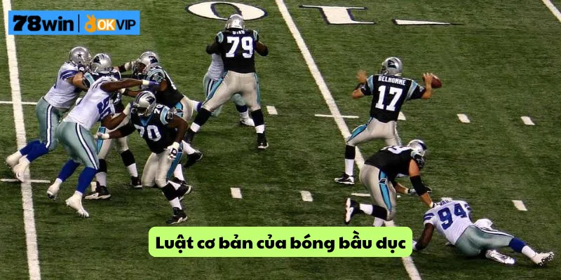 Luật cơ bản của bóng bầu dục